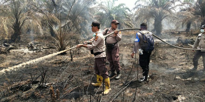 Polsek Kelayang Bersama Koramil Setempat Berjibaku Melaksanakan Pemadaman Di Lokasi Karhutla